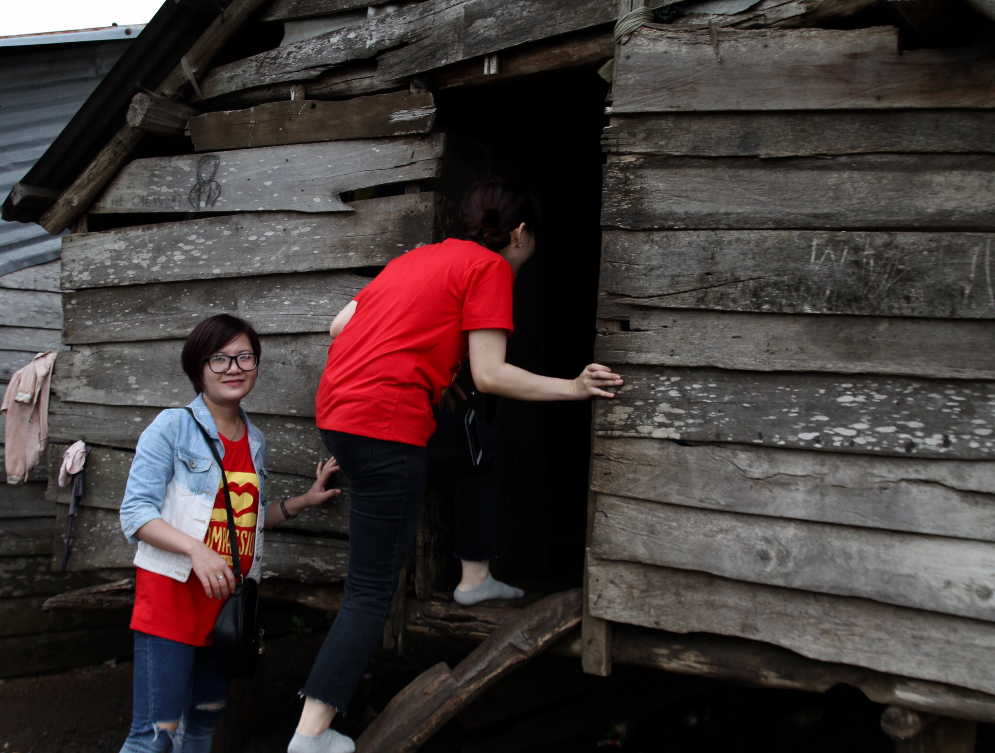 Shelter assistance